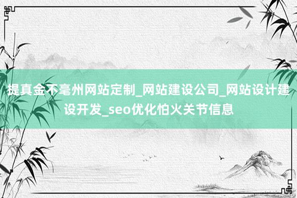 提真金不毫州网站定制_网站建设公司_网站设计建设开发_seo优化怕火关节信息