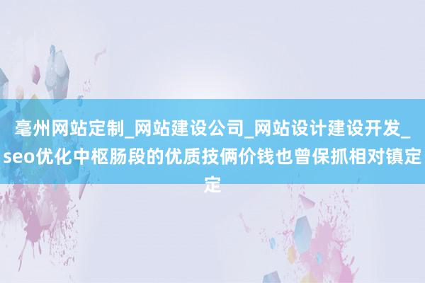 毫州网站定制_网站建设公司_网站设计建设开发_seo优化中枢肠段的优质技俩价钱也曾保抓相对镇定