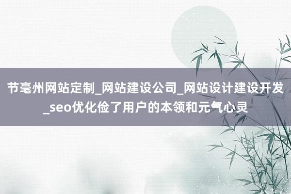 节毫州网站定制_网站建设公司_网站设计建设开发_seo优化俭了用户的本领和元气心灵