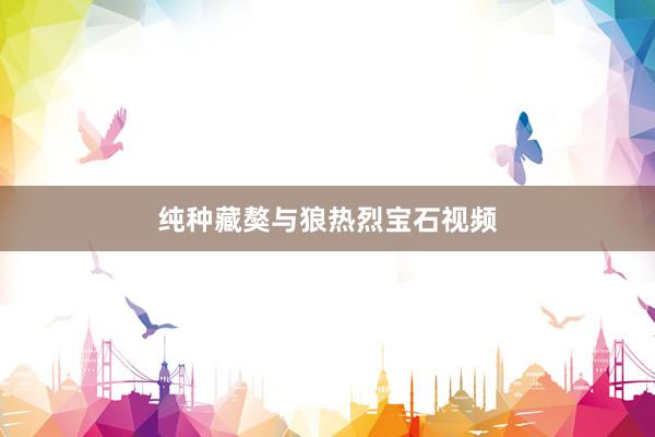 纯种藏獒与狼热烈宝石视频